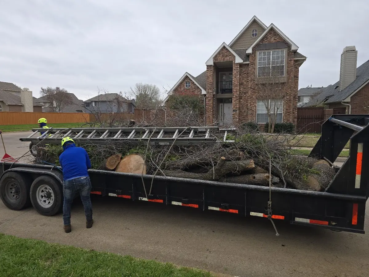 Expert Tree Fertilization with proper safety equipment in Hydesville